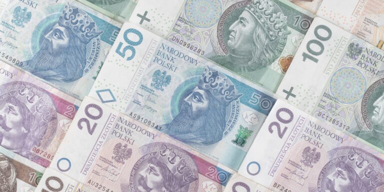 Zdjęcie przedstawia pieniądze w nominałach PLN